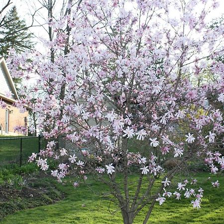 Carrousel Bed & Breakfast Cayuga Eksteriør bilde